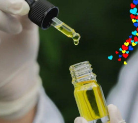 Cannabis e autismo: ciência investiga efeitos e limitações