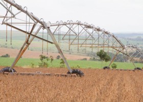 Safra de grãos deve crescer 3,1% em fevereiro