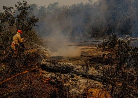Incêndios no Pantanal motivam estado de emergência em 14 cidades no MS