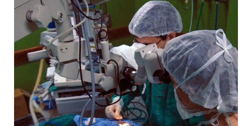 Pesquisa sobre transplante de órgãos de animais em humanos recebe investimento de R$ 16 milhões em SP Pesquisa sobre transplante de órgãos de animais em humanos recebe investimento de R$ 16 milhões em SP